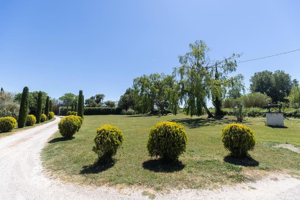 Loft Du Mas Florence - - Provence Villa *